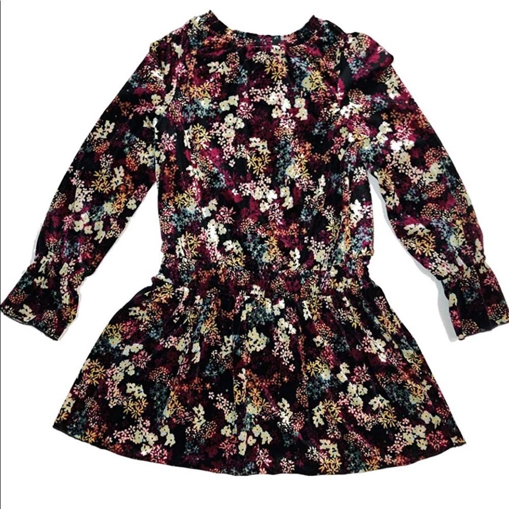 Ella Moss Girls 10 Velvet Floral Dress